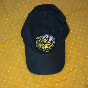 Michigan hat